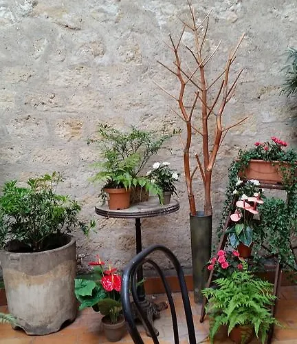 Le Compostelle