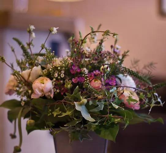 ホテル Le Compostelle 3*